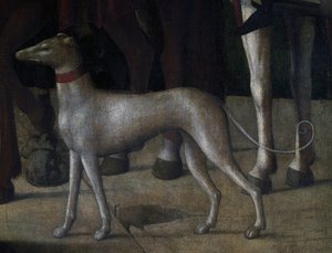 Chien (détail)