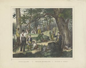 Chasse aux renards