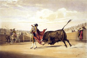 Taureau chargeant alors que le matador joue avec la cape