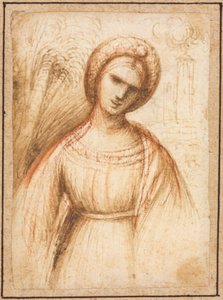 Dame dans un paysage (recto) - possibly by Dosso Dossi