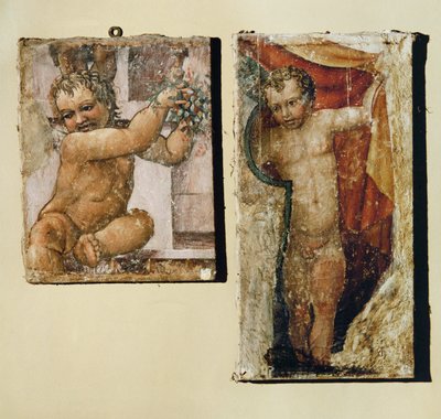Putto avec des fleurs, putto avec un rideau - (1509-66) Daniele da Volterra