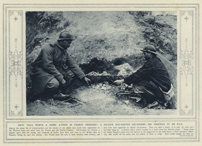 Des queues de rats valant un sou pièce dans les tranchées françaises ! Un soldat chasseur de rats livrant ses trophées à un sous-officier - (after) English photographer