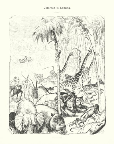 Jamrach arrive (gravure) - (after) German School