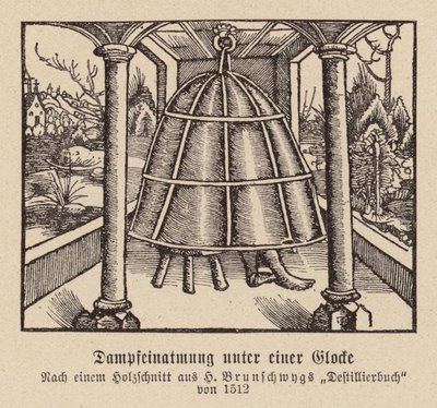 Inhalation de vapeur sous une cloche - (after) German School
