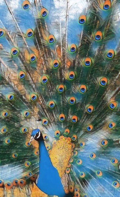 Pavo Real. - Margareta Uliarte