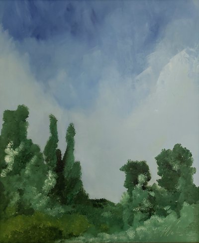 Nuages sur la forêt - M. Vet