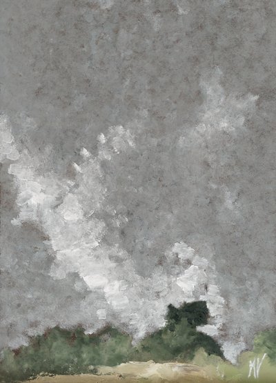 Haie et nuages - M. Vet