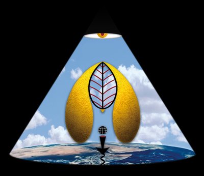 Im Anfang war das Wort (aus der Serie Lichtung) - Alexander Eibach