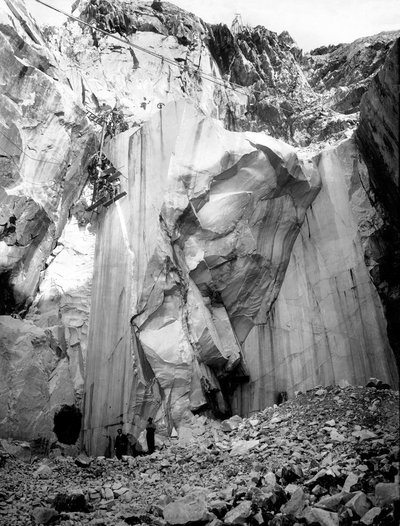 Excavateurs au travail le long d