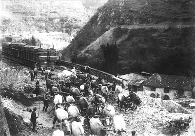 De nombreux bœufs transportent un énorme convoi contenant du marbre, juste descendu dans la vallée depuis une carrière des Alpes Apuanes (photo n/b) - A. Corsini
