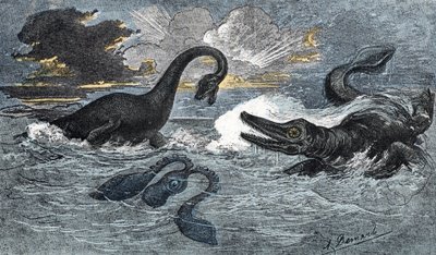 Plésiosaure et un ichthyosaure du Jurassique inférieur - A. Demarle