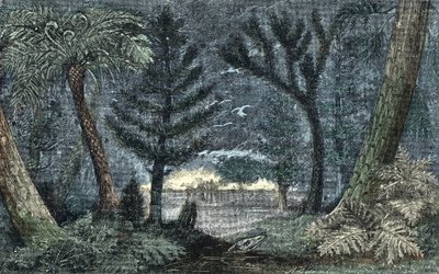 Préhistoire : paysage caractéristique avec marais et forêt - A. Demarle