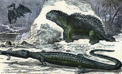 Préhistoire: représentation d