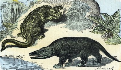 Préhistoire: représentation d