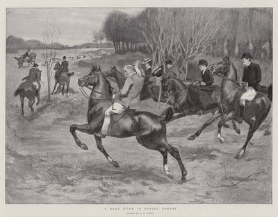 Chasse à courre dans la forêt d