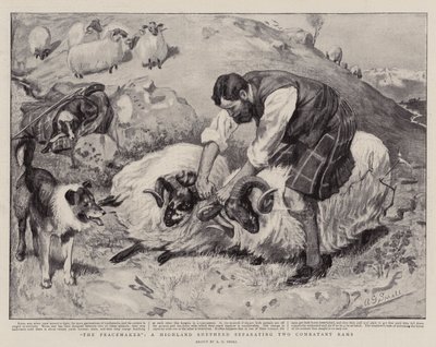 Le Pacificateur, un berger des Highlands séparant deux béliers combattants - A. G. Small