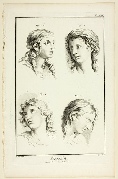 Dessin : Les expressions de l