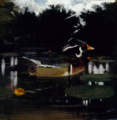 Canard branchu mâle dans une mare forestière, étude pour le livre Concealing Coloration in the Animal Kingdom - Abbott Handerson Thayer