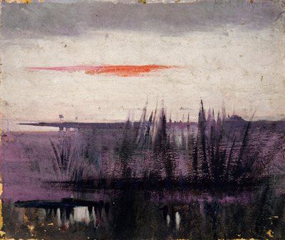 Le ciel simulé par les flamants blancs étude pour le livre, La dissimulation de la coloration dans le règne animal - Abbott Handerson Thayer