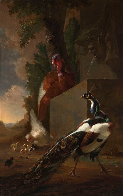 Un paon, une dinde et une poule avec ses poussins près d