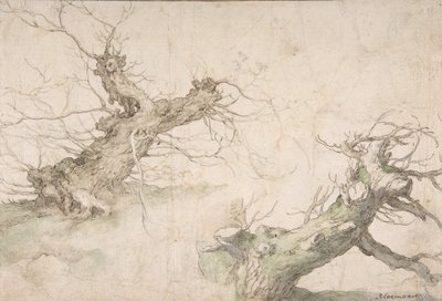 Études de deux saules têtards, Verso : Large perspective paysagère, fin 16e-milieu 17e siècle - Abraham Bloemaert
