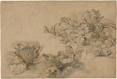 Études sur une plante à moelle et sur les choux - Abraham Bloemaert