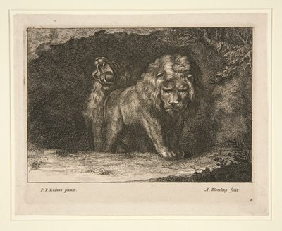Lions - Abraham Blooteling