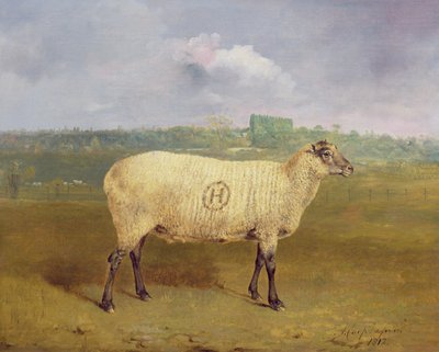 Une brebis primée appartenant à M. J.A. Houblon, Hallingbury Place, Essex, 1812 - Abraham Cooper
