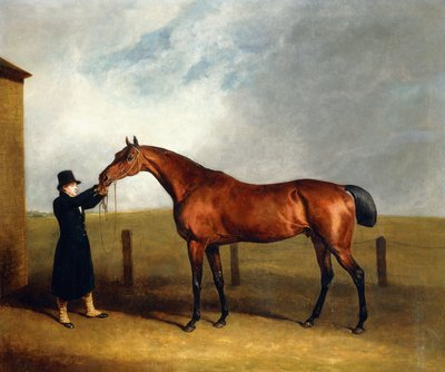 Le poulain bai Truffle du colonel Udny par Sorcerer tenu par un palefrenier, 1815 - Abraham Cooper