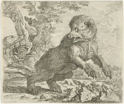 Ours attaqué par des chiens - Abraham Danielsz. Hondius