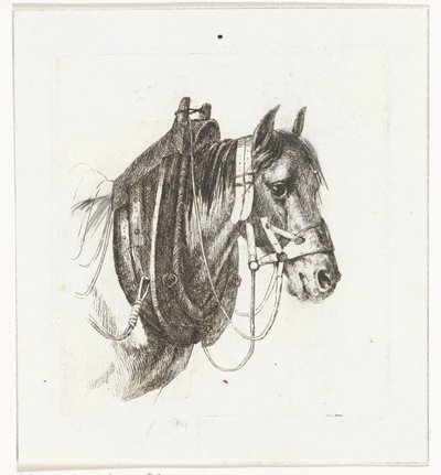 Tête de cheval avec bride, collier et selle - Abraham Hendrik Winter