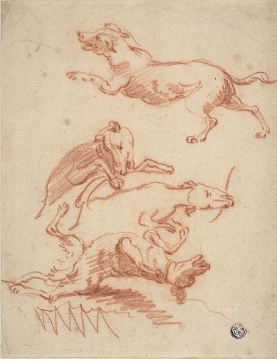 Esquisses de chiens en train de jouer - Abraham Hondius