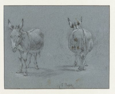 Deux études d