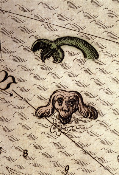 Un monstre marin a une tête de chien et un corps de poisson. Détail d