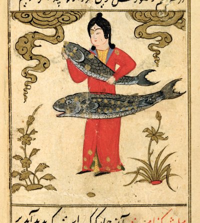 Constellations du zodiaque : Poissons, le poisson, de Talim dar marifat i taqvuim, 1498 (903 Hijra) - Abu Jafar al Tabari