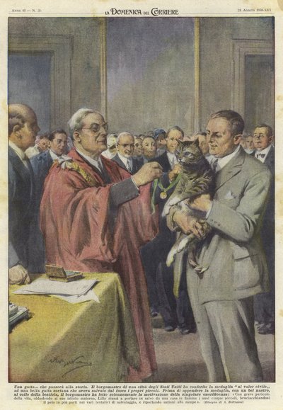 Un chat honoré d