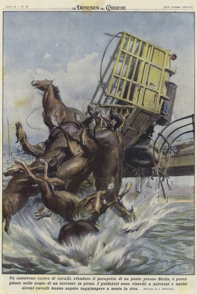 Un camion de chevaux dans un accident à Biella - Achille Beltrame