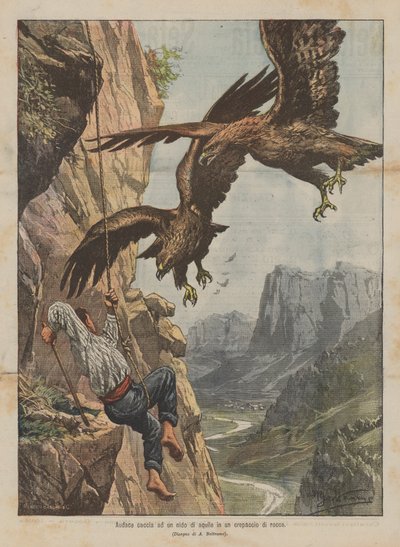 Chasse audacieuse à un nid d