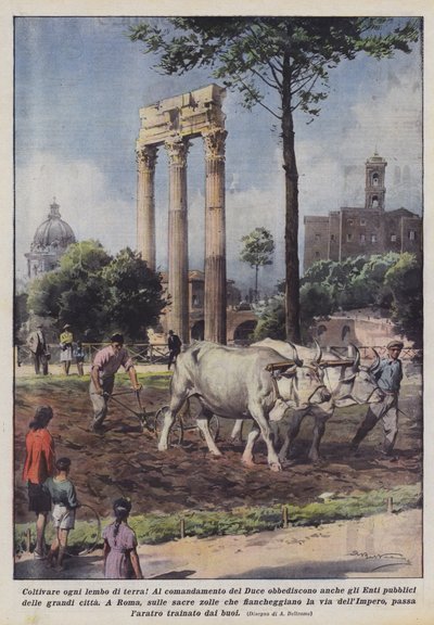 Cultiver chaque parcelle de terre! - Achille Beltrame