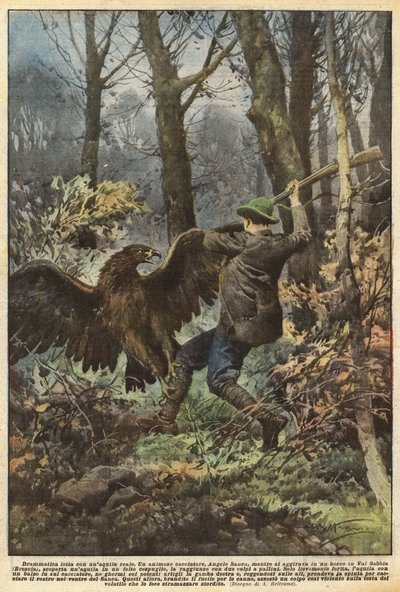 Lutte dramatique avec un aigle royal - Achille Beltrame