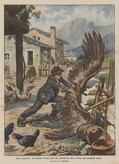 Héros inconscients, un garçon de dix ans affrontant seul et étranglant un magnifique aigle - Achille Beltrame