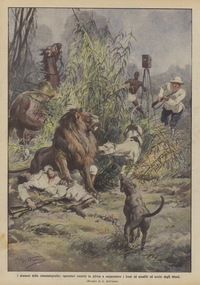 Les drames de la cinématographie, opérateurs en Afrique pour filmer des lions et attaqués - Achille Beltrame