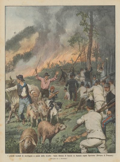 Les grands incendies de montagne dus à la sécheresse, vastes étendues de forêts en flammes - Achille Beltrame