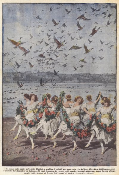 La danse des canards sauvages - Achille Beltrame