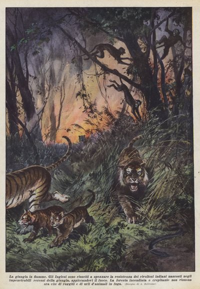 La jungle en flammes - Achille Beltrame