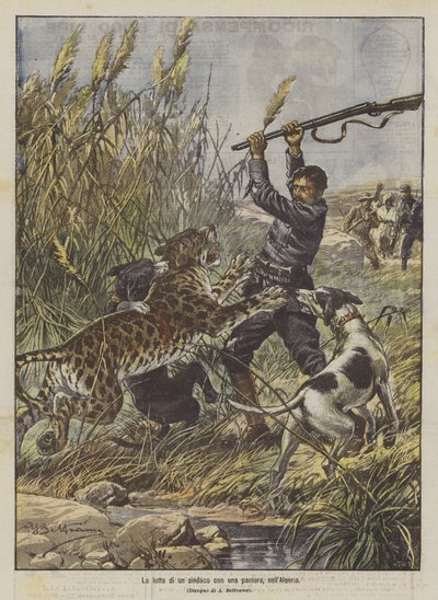 La lutte d