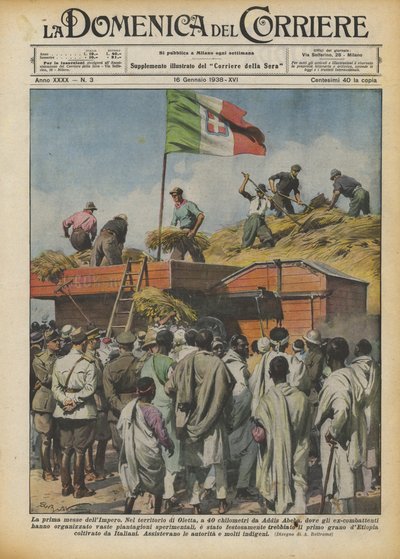 La première moisson de l