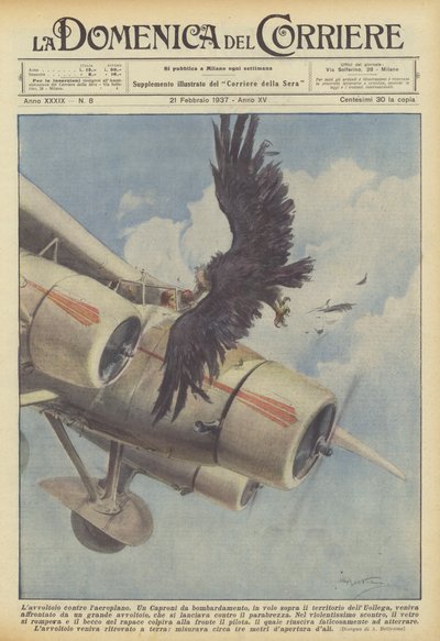 Le vautour contre l