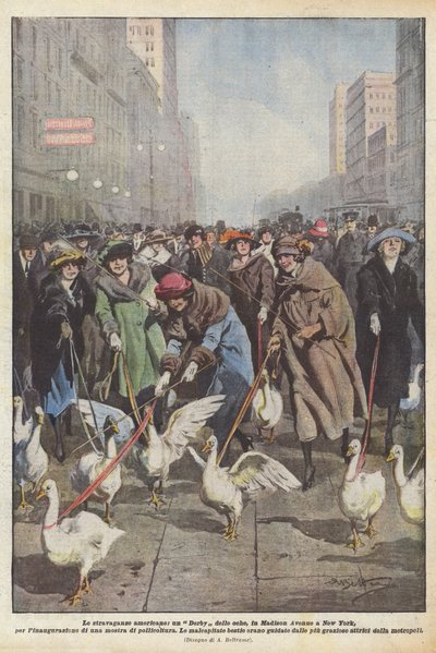 Les extravagances américaines, un Derby des oies, sur Madison Avenue à New York, pour l