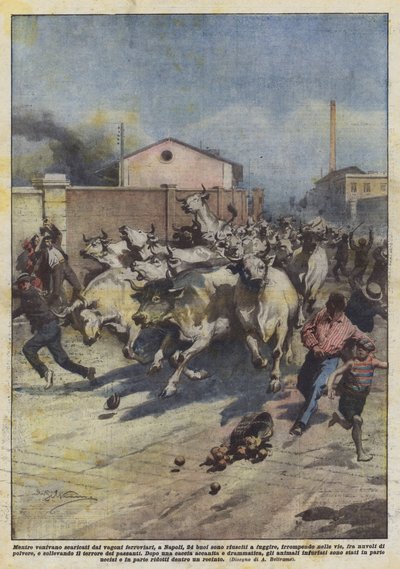 Évasion de 24 bœufs à Naples - Achille Beltrame